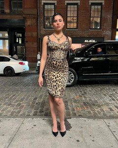 Leopard print sheath sexy dress with zipper back
