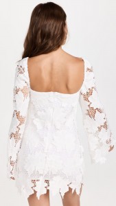 Sexy Hollow Out Long Sleeve Lace Mini Dress